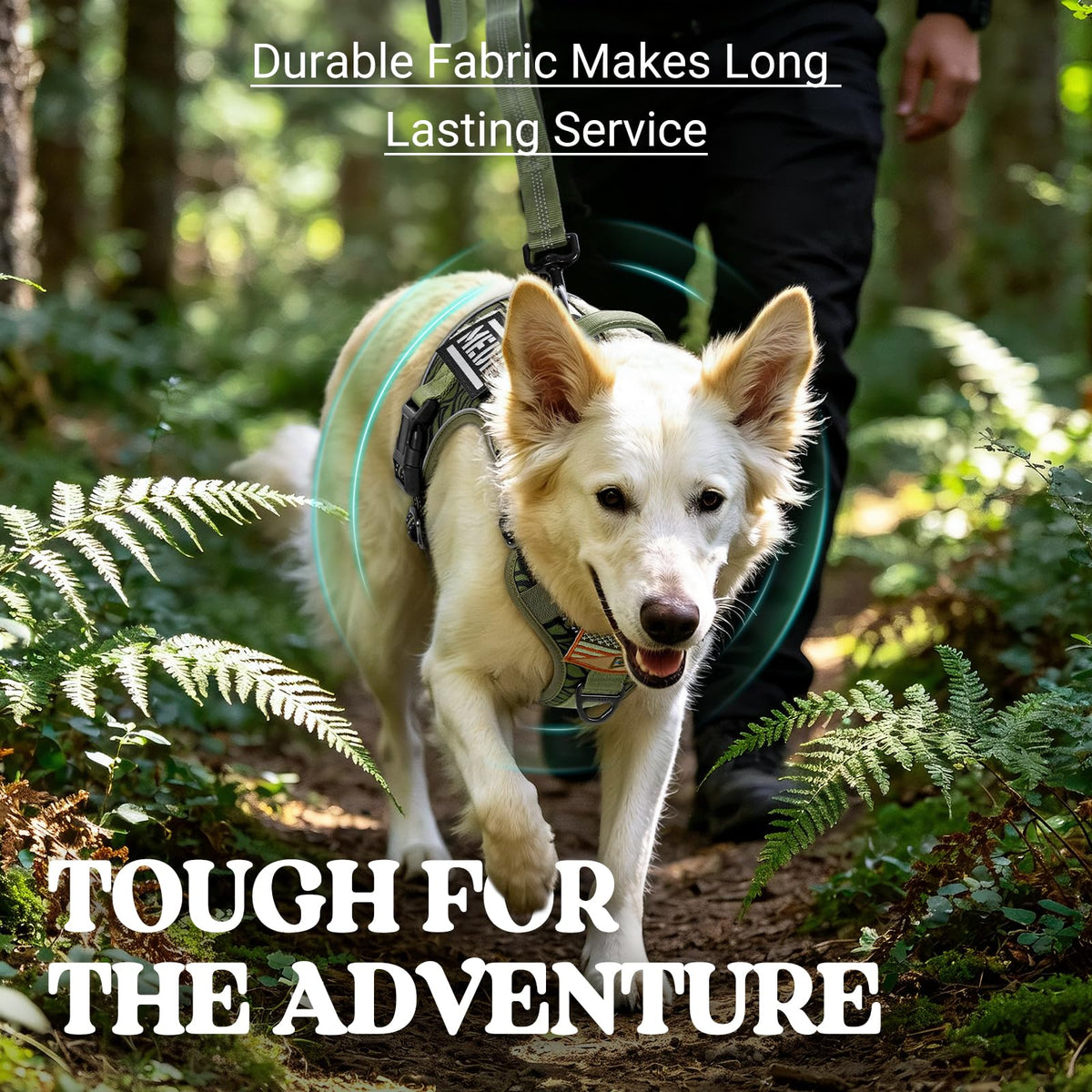Tactical Dog Harness for Large (Green Desert / Medium)