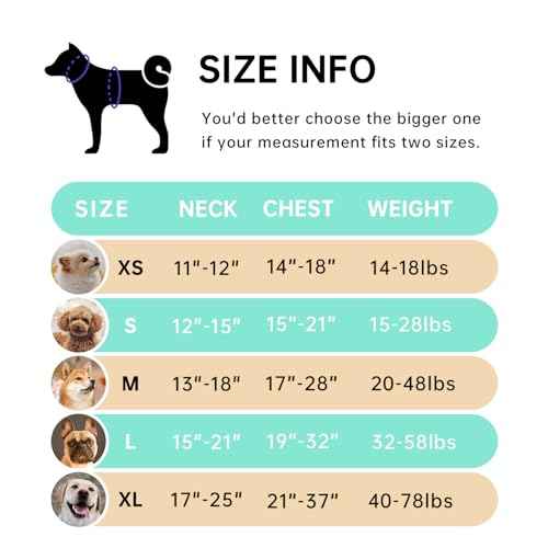 No Pull Dog Harness for Large Dogs (Peacock Blue / X-Large)