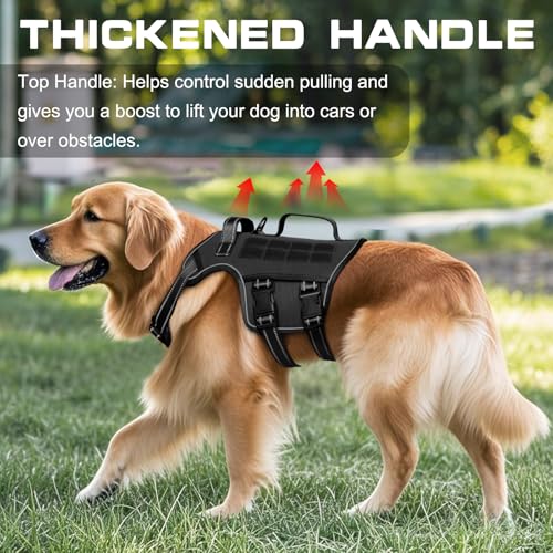 Dog Harness Medium Sized Dog (Black / M(Neck:17-23",Chest:22-32"),35-50 lbs)