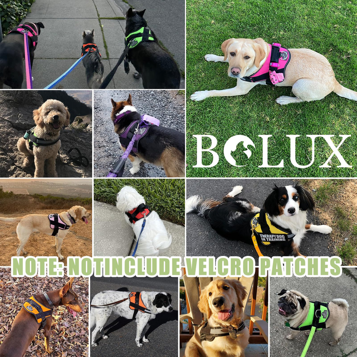 Dog Harness No (X-Small (Pack of 1) / CreamGreen)