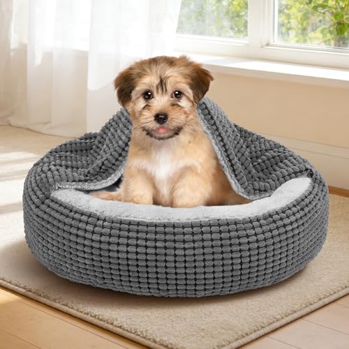 Small Dog Bed with Attached Blanket (Grey / S (23''x23''x7''))