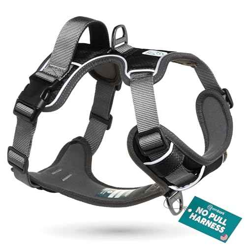 Embark No Pull Dog Harness (S / Black)