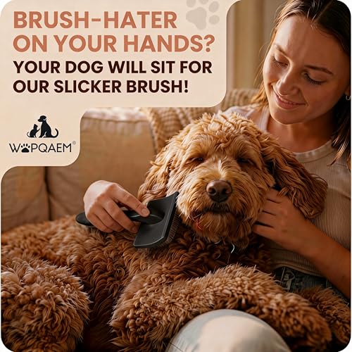 3 PCS Slicker Brush for Dogs (Black 3pc)