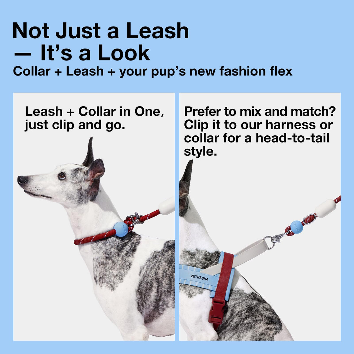 Hands Free Dog Leash (Mist&Merlot Red)