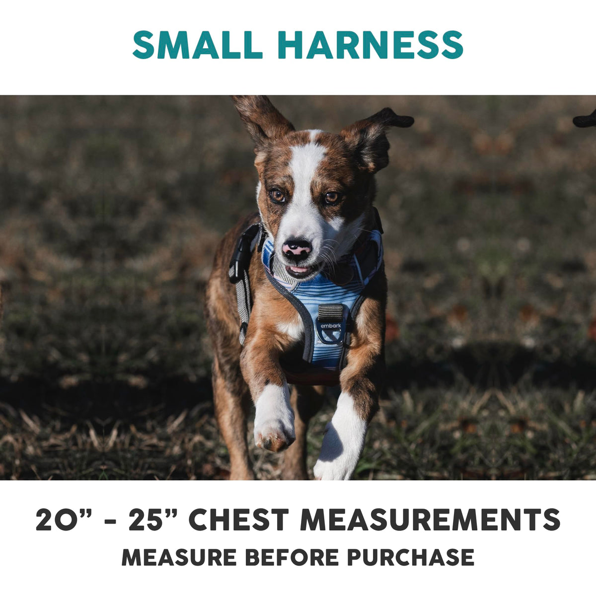 Embark No Pull Dog Harness (S / Santa Monica)