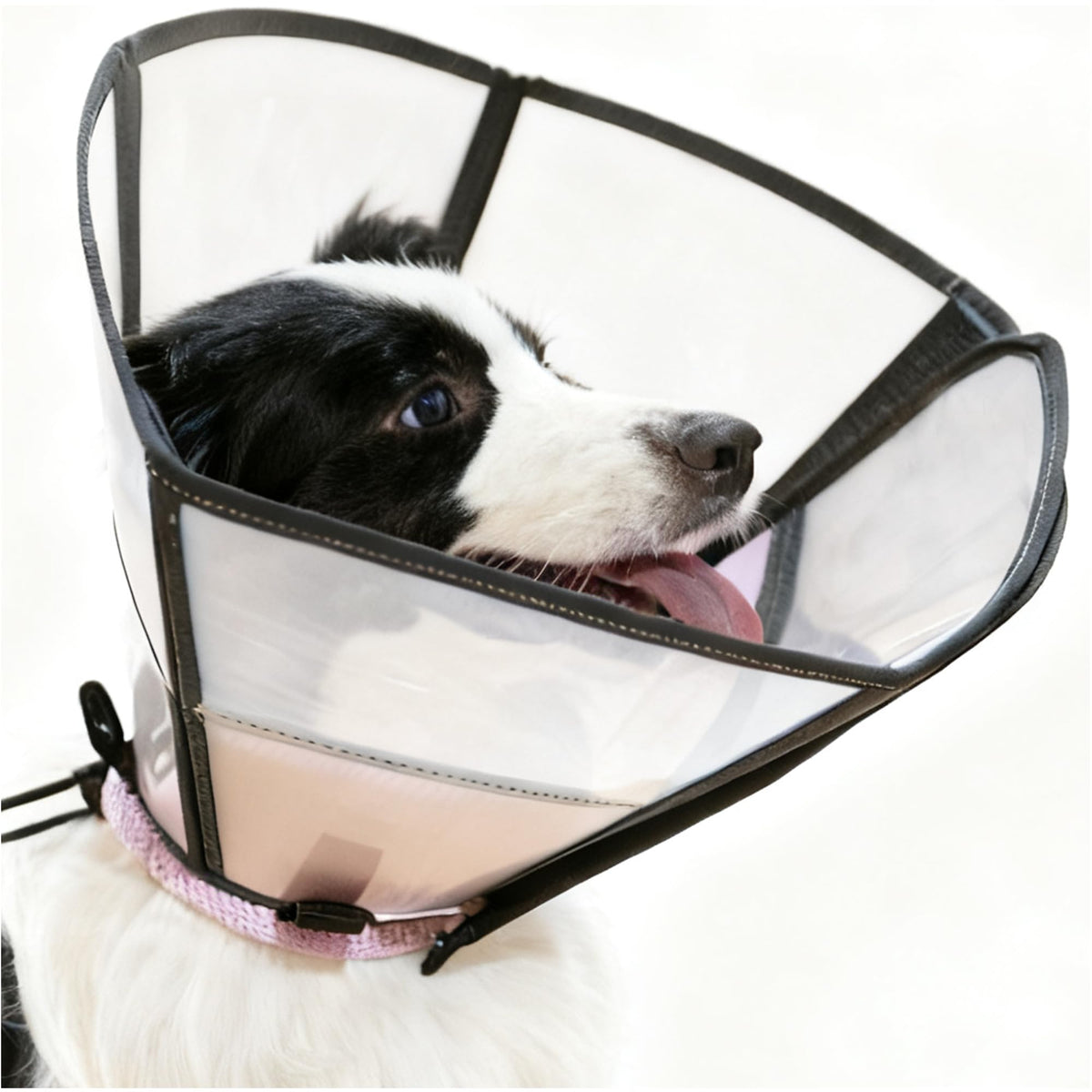 Soft Dog Cone (Pink / M(Neck:12.25-14.25"))