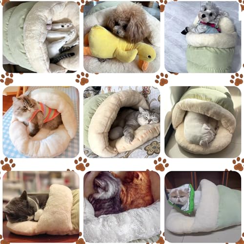Cat Bed Cat Cave Bed for Indoor Cats and Small Dogs (Medium / Green)