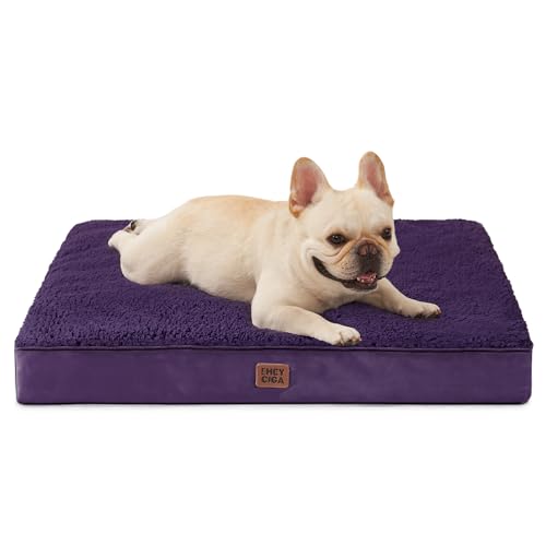 Orthopedic Dog Bed Medium with Removable Washable Cover (30*20*3.5 inches / Purple)