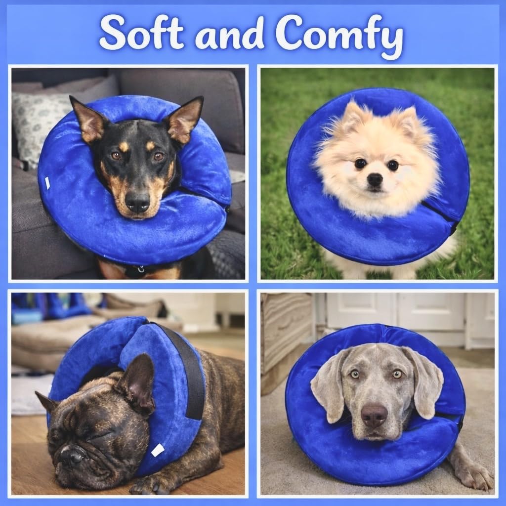 Inflatable Dog Cone Collar Alternative (Blue / M [13"-18"])