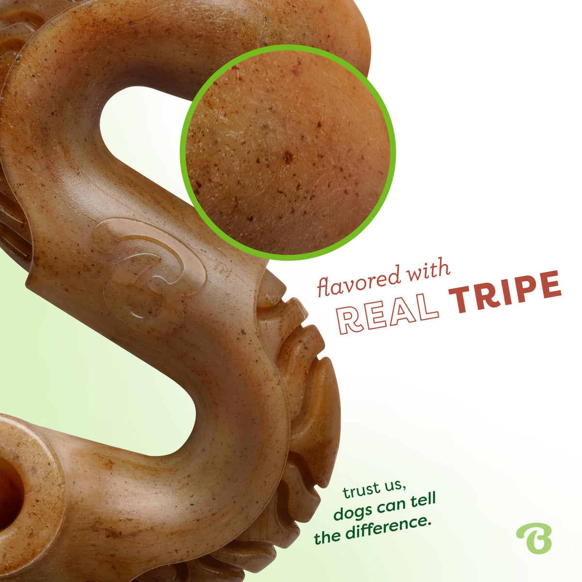 Tripe Bone Durable Dog Chew Toy for Aggressive Chewers (REAL Beef / Small)