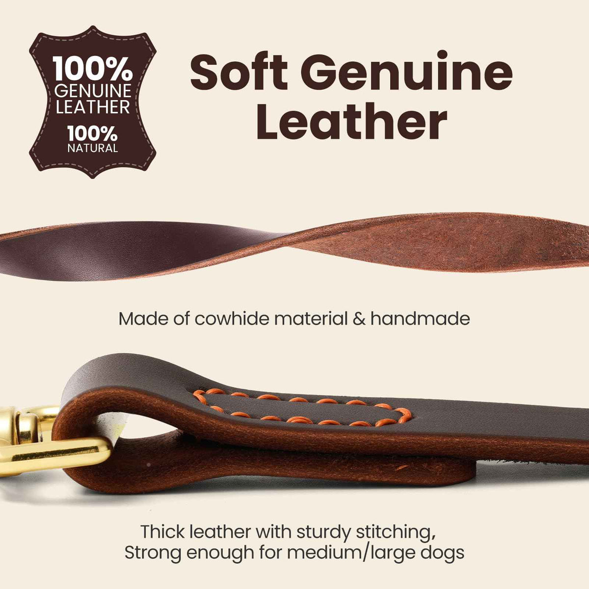 Leather Dog Leash (2.0 ft L x 0.75 in W)