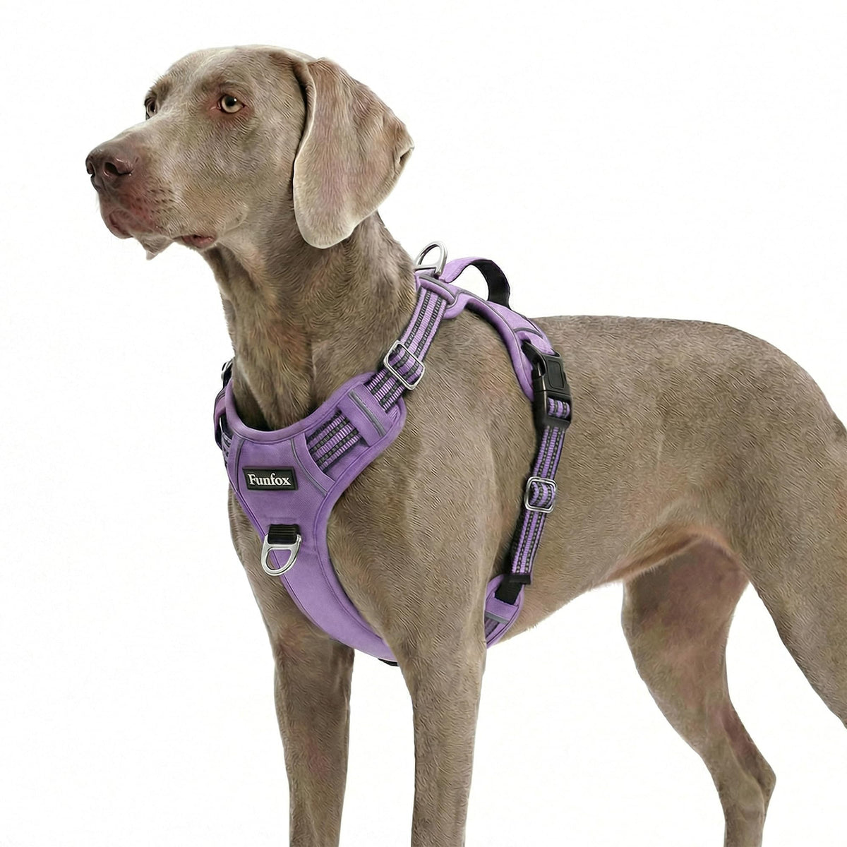 Dog Harness for XLarge Dogs (Purple / X-Large)