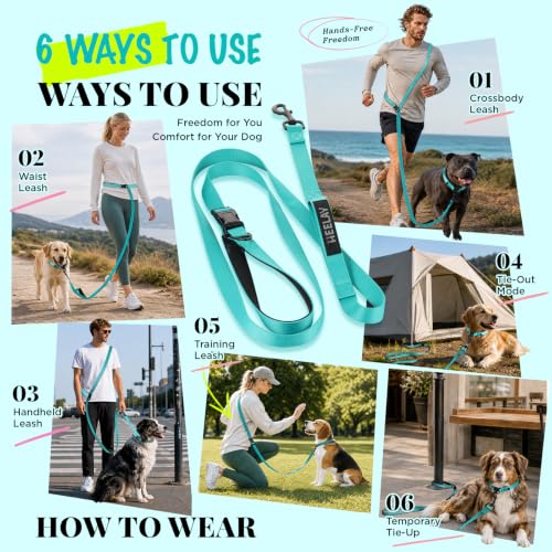 Hands Free Dog Leash (5.9-8.2 FT Teal)