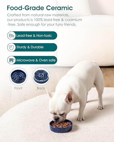 Slow Feeder Dog Bowl (Blue / 0.6 Cups)