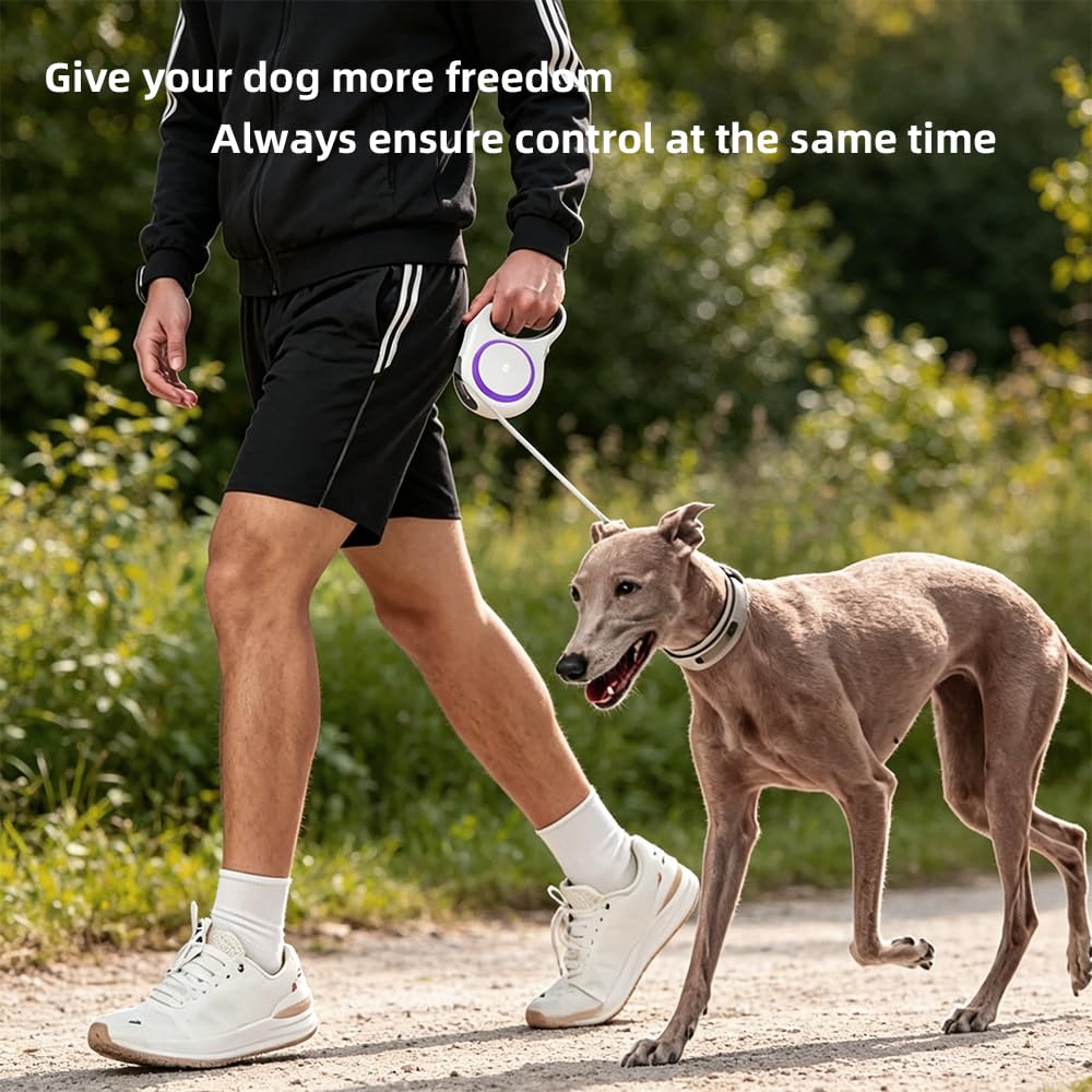 Retractable Dog Leash