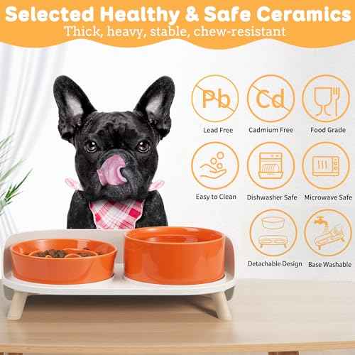 Elevated Slow Feeder Dog Bowls with Splash Proof Stand (Medium / Orange)