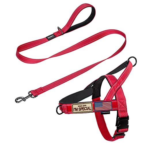 No Pull Dog Harness+5 Ft Leash for Medium Large Dogs (L / Red Set)