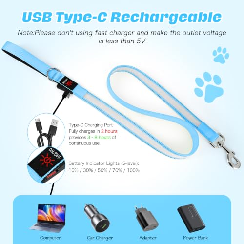 Light Up Dog Leash