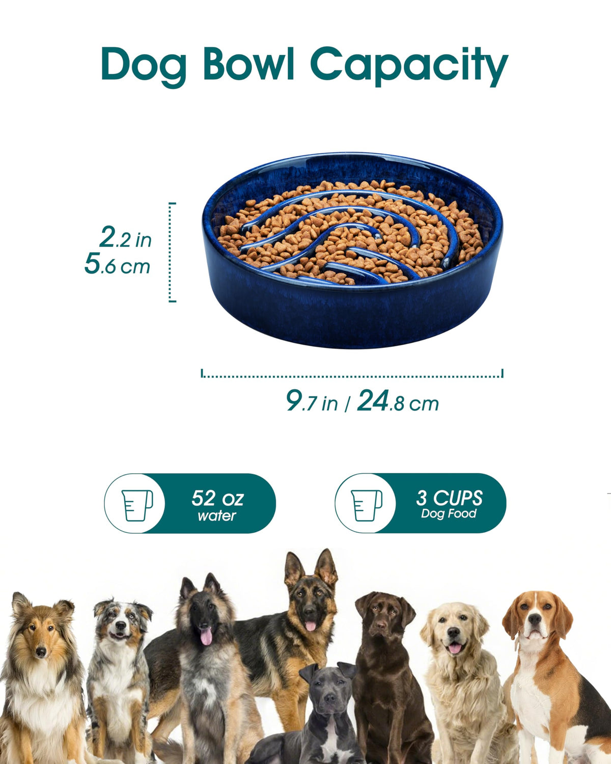 Slow Feeder Dog Bowl (Blue / 3 Cups)