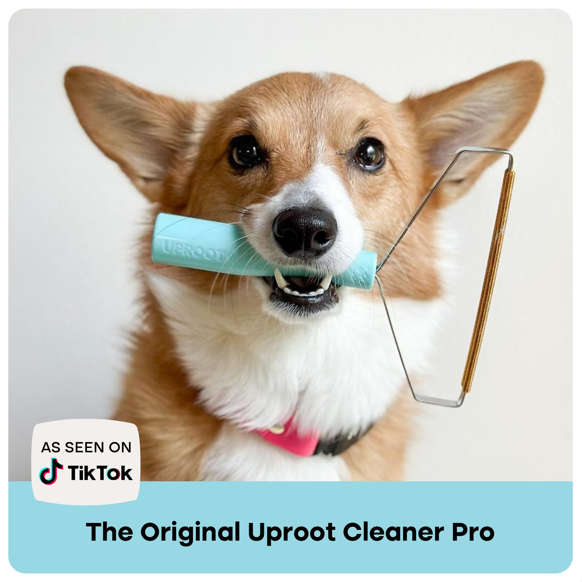 Pro Pet Hair Removal Tool (Blue / 2 Pack)