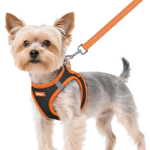 Dog Harness Small Sized and Leash Set (Black & Orange / XS (Chest: 13.3"-15.5"))