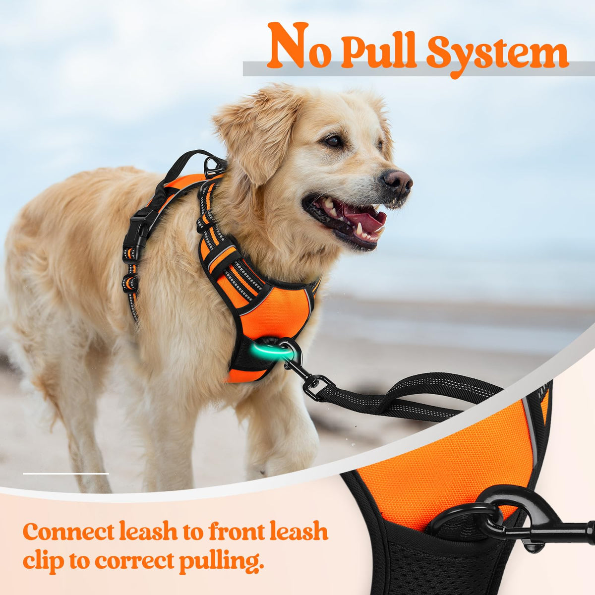 Dog Harness No Pull for Large Dogs with 2 Leash Clips (X-Large / Orange)