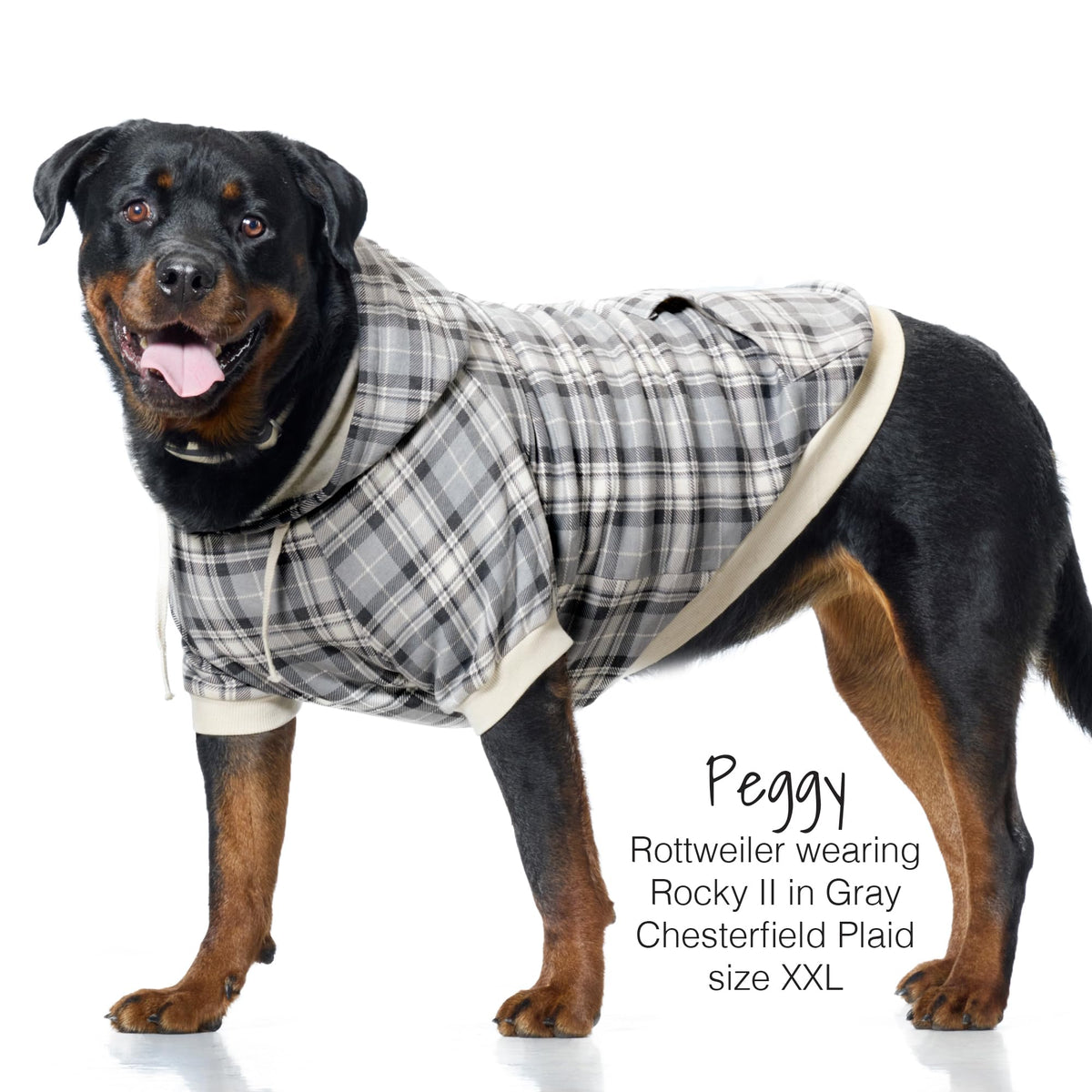 Rocky II Dog Hoodie (Gray Chesterfield Plaid / X-Large (55-80 lbs))