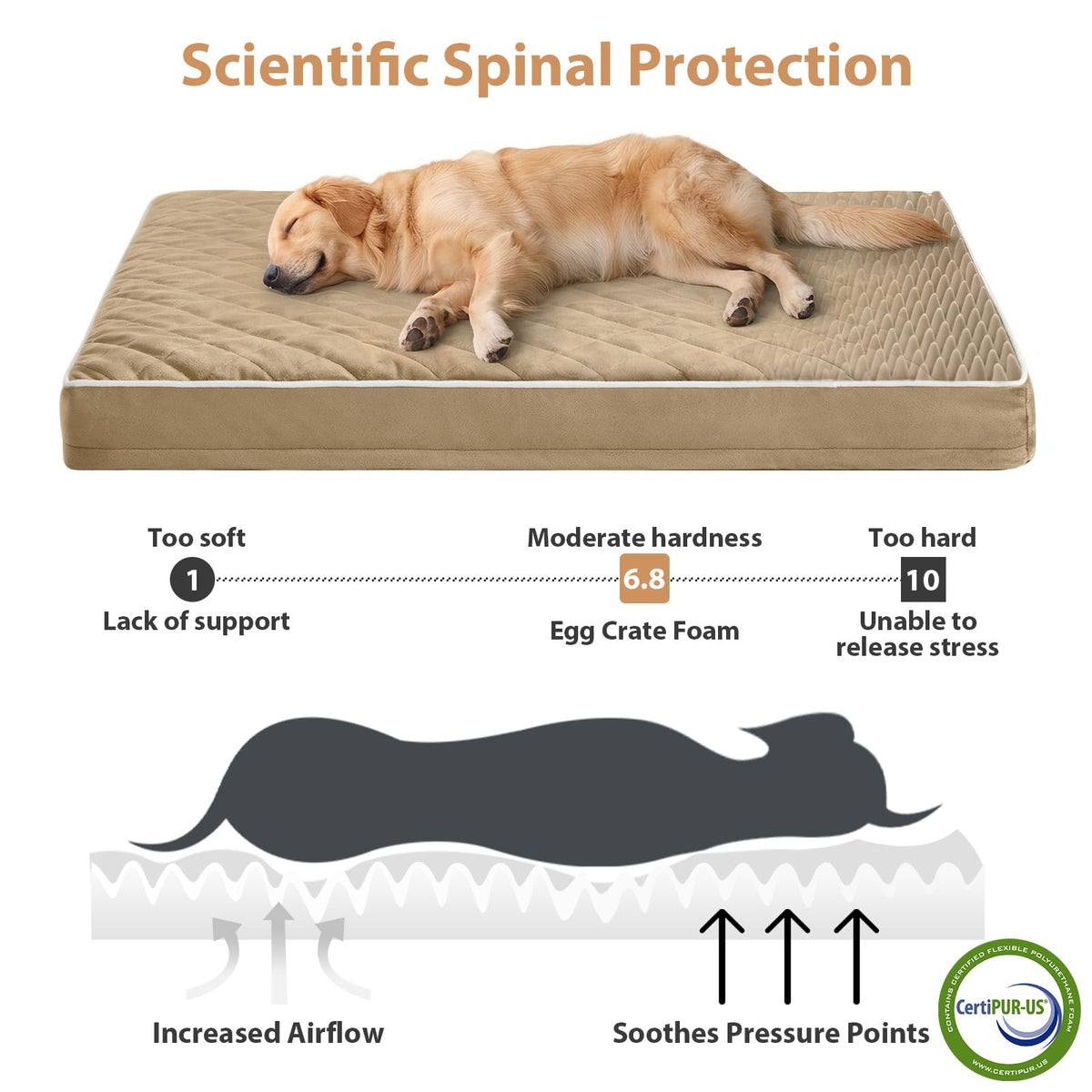 Orthopedic Waterproof Extra Large Senior Dogs Bed for Comfy Sleep (brown / 42"L x 30"W x 4"Th)