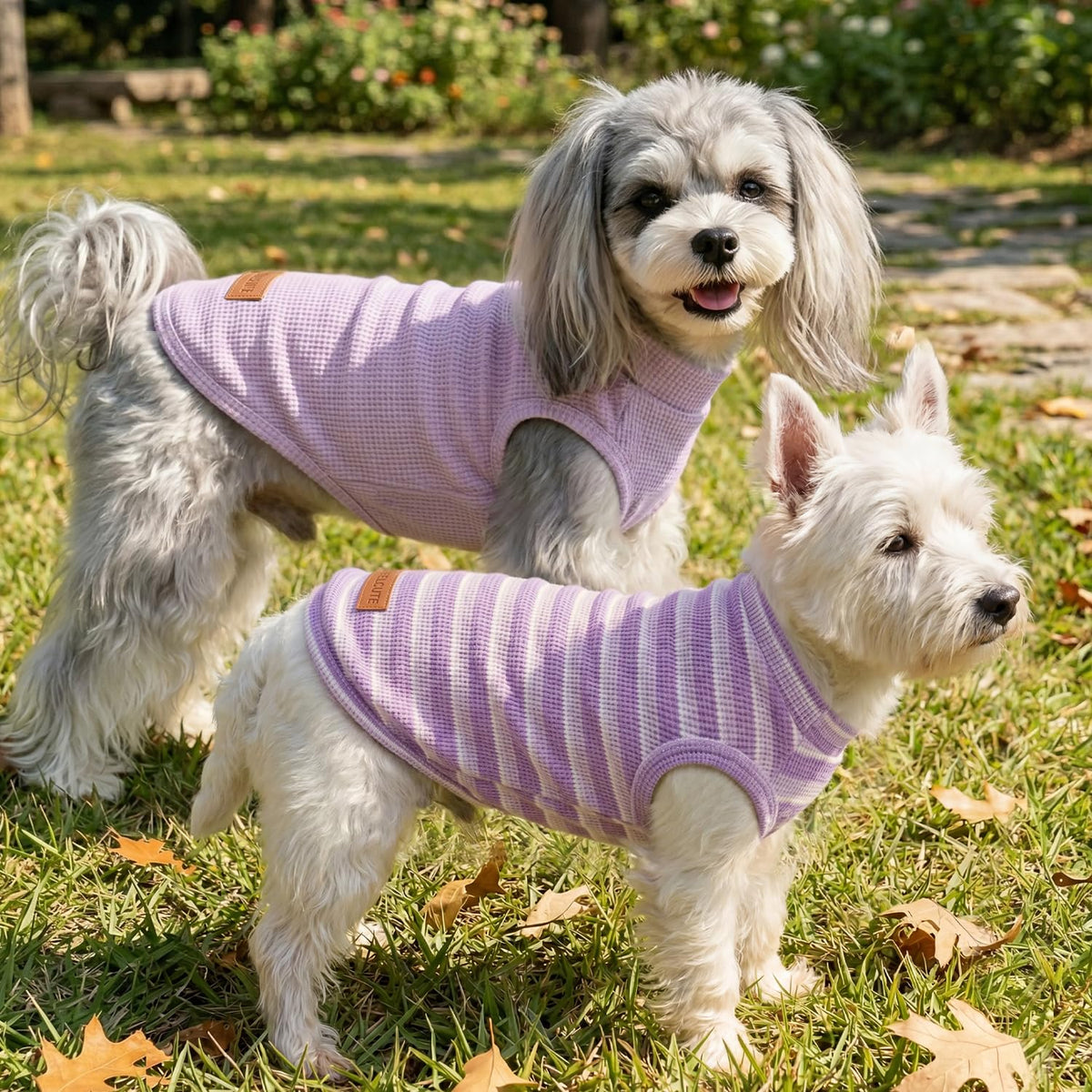 2Pack Dog Shirts Lightweight Waffle Dog Shirt for Small Dogs Sleeveless Dog Shirt for Small Medium Boy Girl Dogs Cozy & Breathable Pet Vest (S(Back: 11.8", Chest: 15.7", 5.5-8.8lbs) / Striped+Deep Purple)