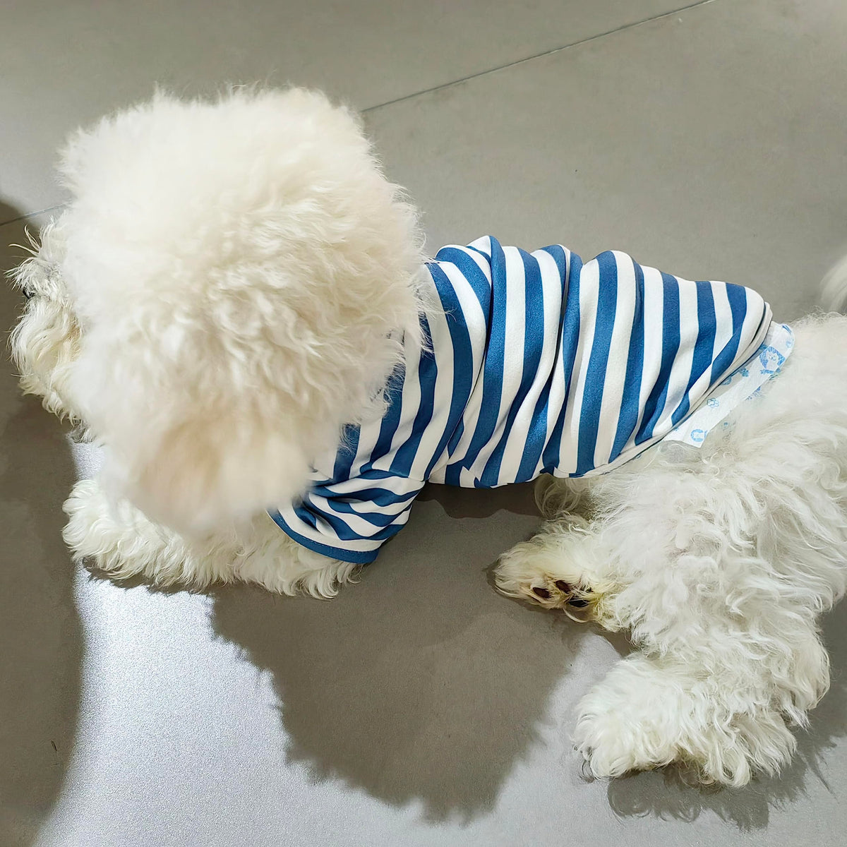 Turtleneck Dog Shirt Cute Doggie Embroidery Super Soft Dog Sweatshirt Stretchy Striped Puppy Pullover for Cats Small Medium Large Dogs (Blue Striped / X-Large)