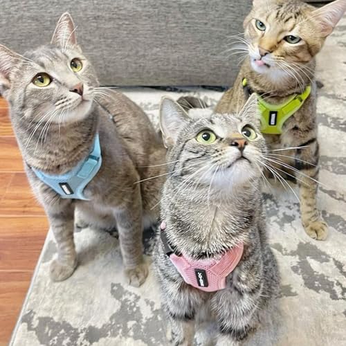 Voyager Step in Lock Cat Harness & Leash Set (Pink / XS (Chest: 13 - 16"))
