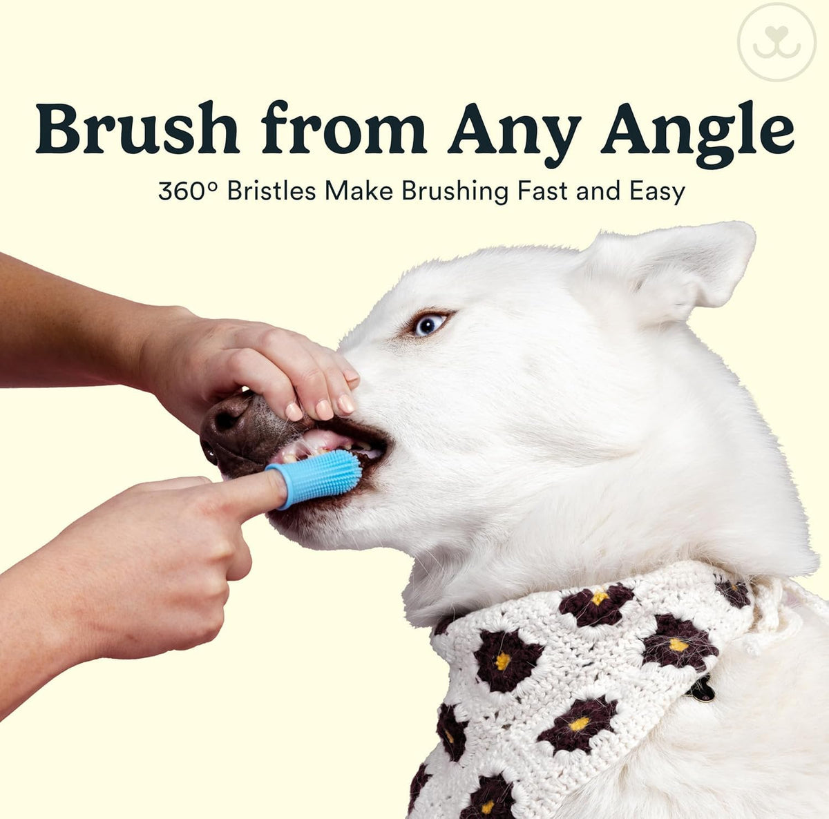 Dog Toothbrush (Clear (4-pack))