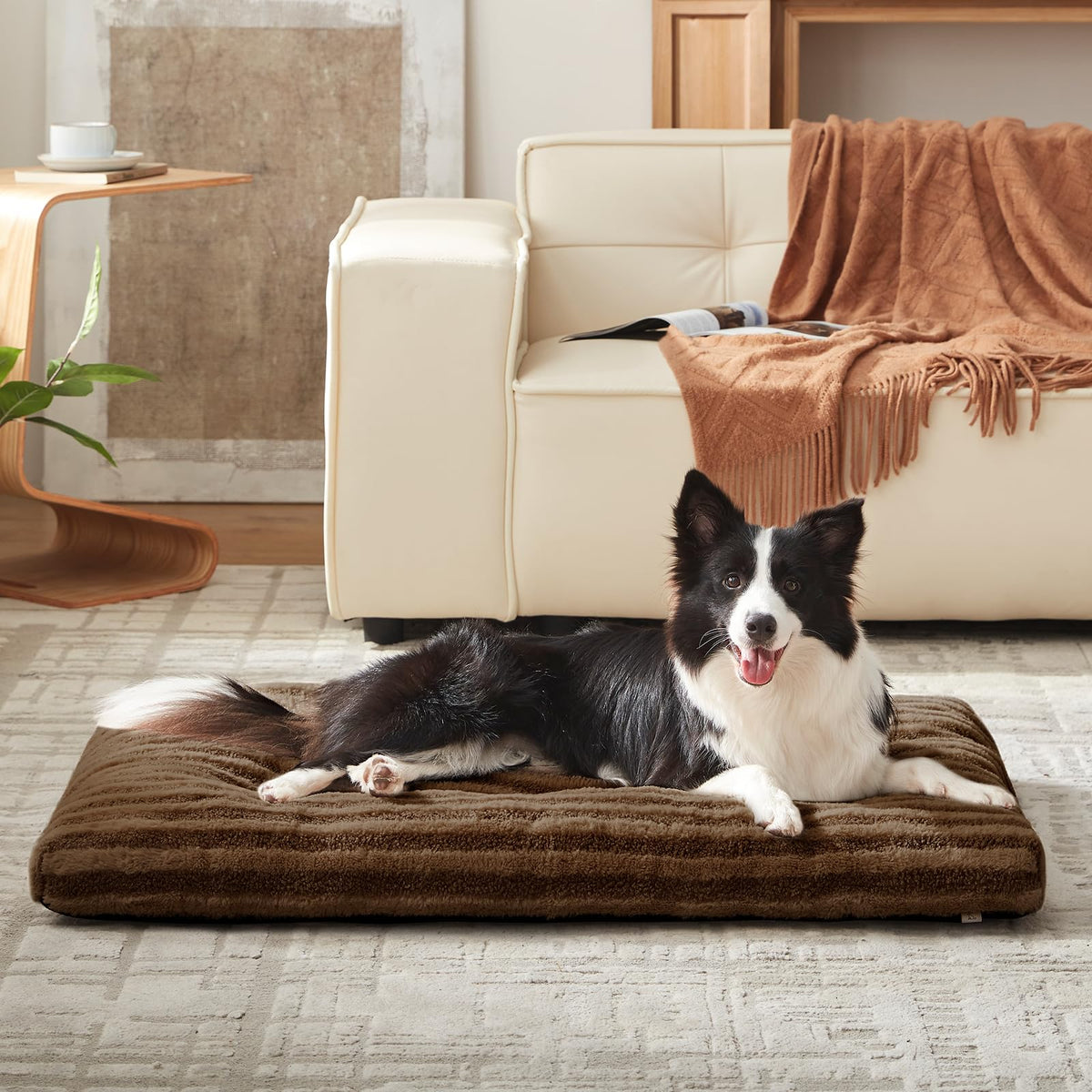 Washable Dog Bed Medium Size Dogs (Dark Brown / 29.0"l x 21.0"w x 3"th)