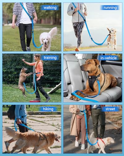 Hands Free Dog Leash with Seatbelt Set (Blue / 63-95‘’)