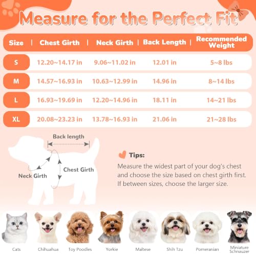 Bowknot Dog Sweater Dress for Small Dogs Girl (Large (14-21lbs) / Pumpkin Orange)