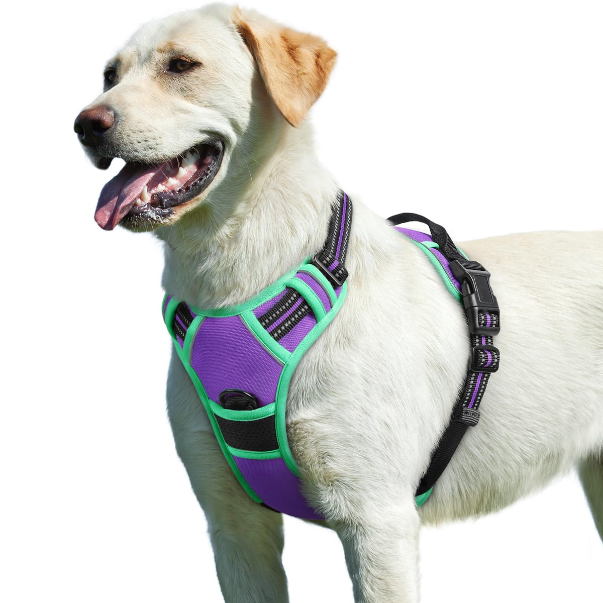 Dog Harness for Large Dogs (Large / Purple & Turquoise)