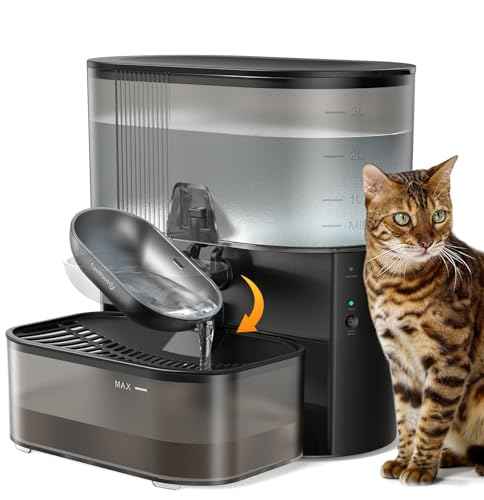 Cat Water Fountain