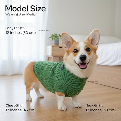 Warm Green Cable Knit Pet Sweater for Dogs & Cats by Parisian Pet (Medium / Cable Knit Green)