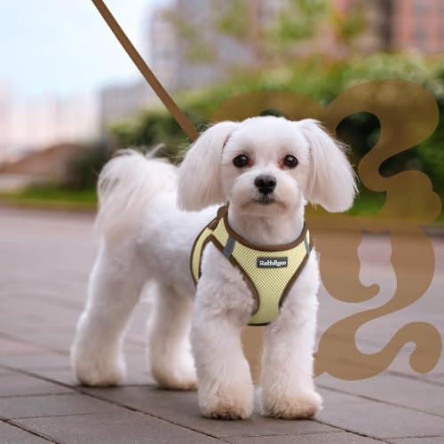 Dog Harness Small Sized and Leash Set (Beige & Coffee / XS (Chest: 13.3"-15.5"))