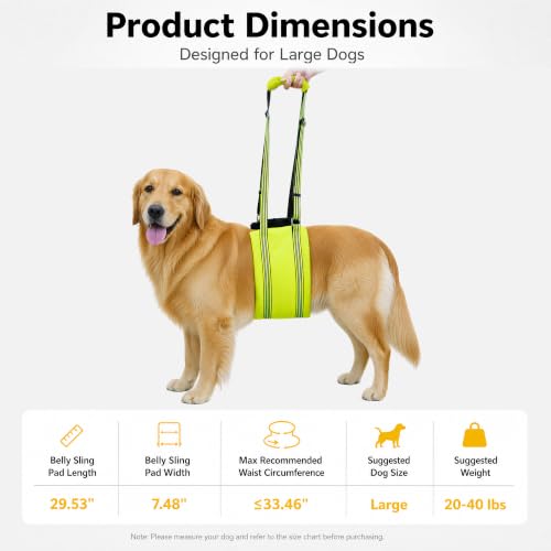 Green Dog Lift Harness with Reflective Strips for Large Dogs