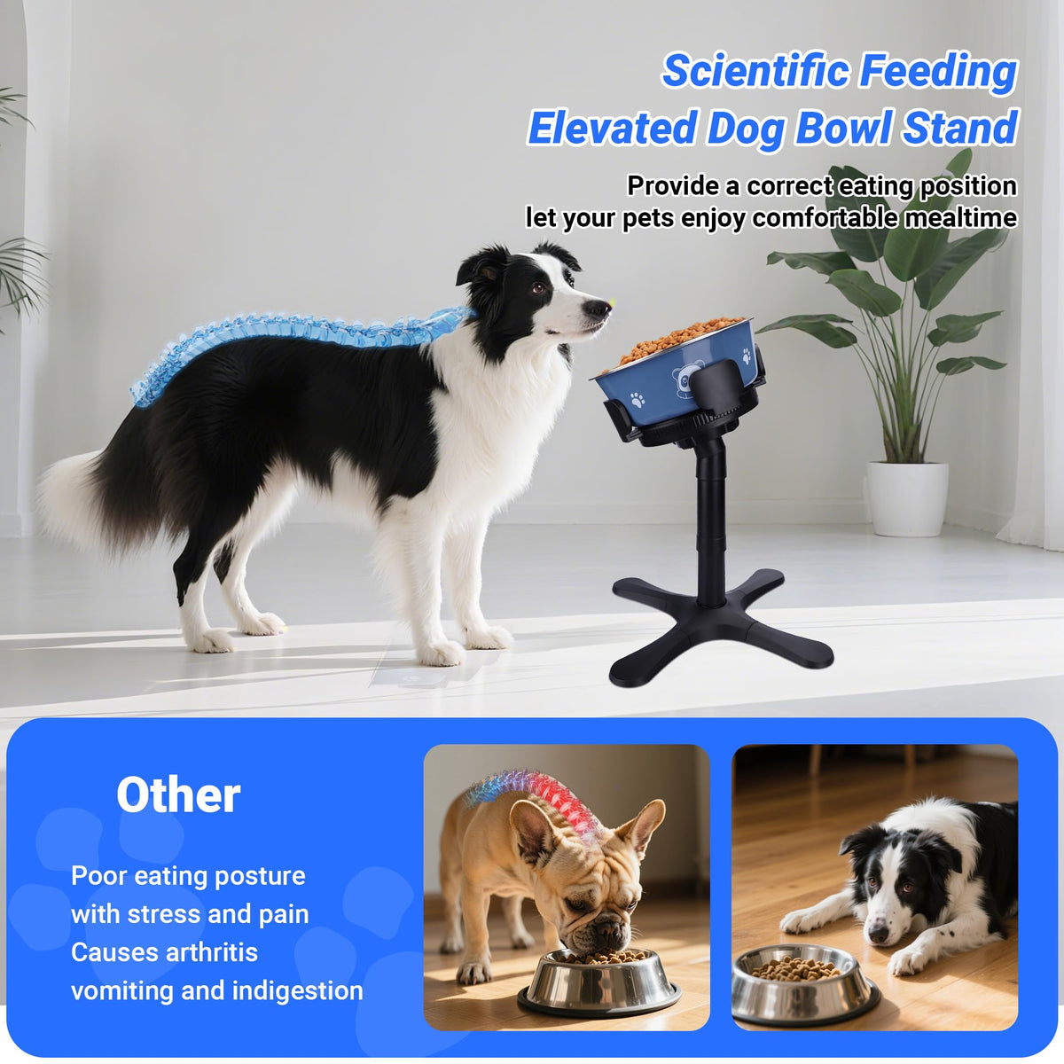 Dog Bowls Elevated Adjustable Stand (Black / Dog Bowl Stand 1 Pack Black)