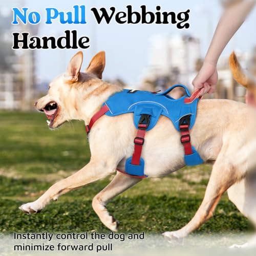 Escape Proof Dog Harness for X (Red & Blue / X-Large)