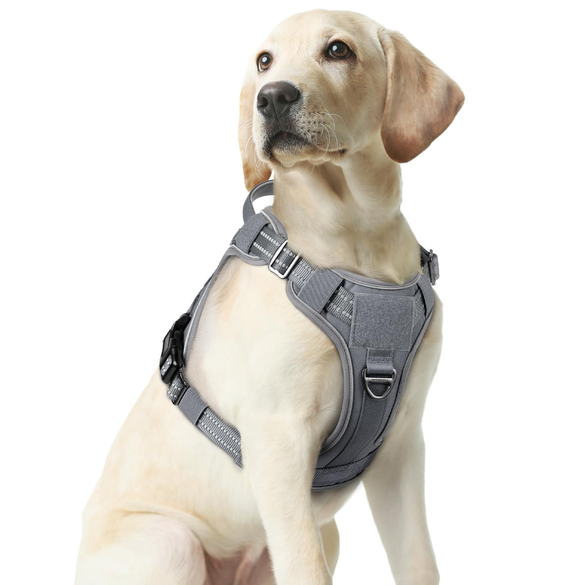 Tactical Dog Harness Medium Sized (M(chest:20.1"-33.9",neck:17.7"-22.3",back:7.5") / Grey)