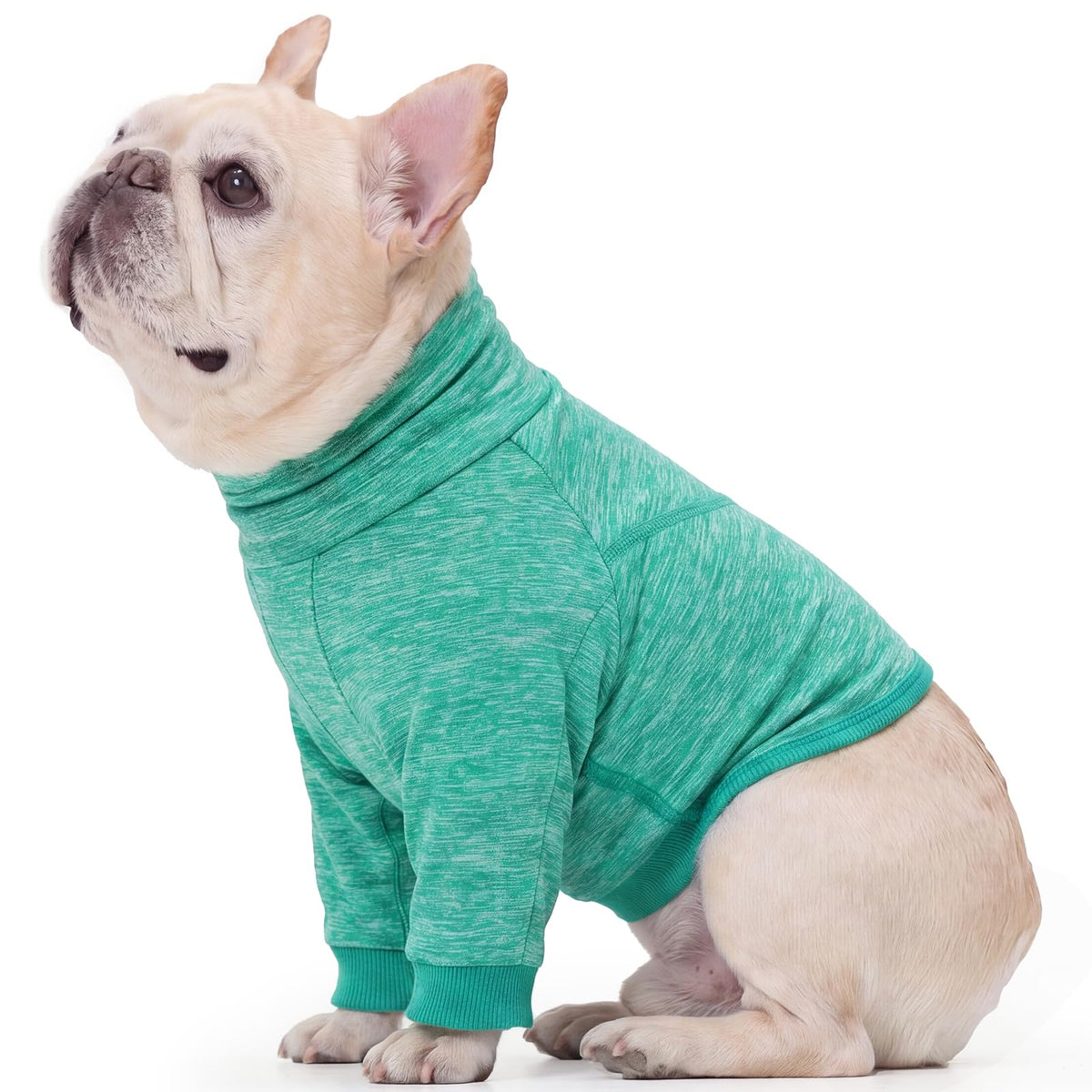 Dog Shirts to Prevent Licking and Scratching Front Legs Elbow Skin Keep Dry (M / Green)