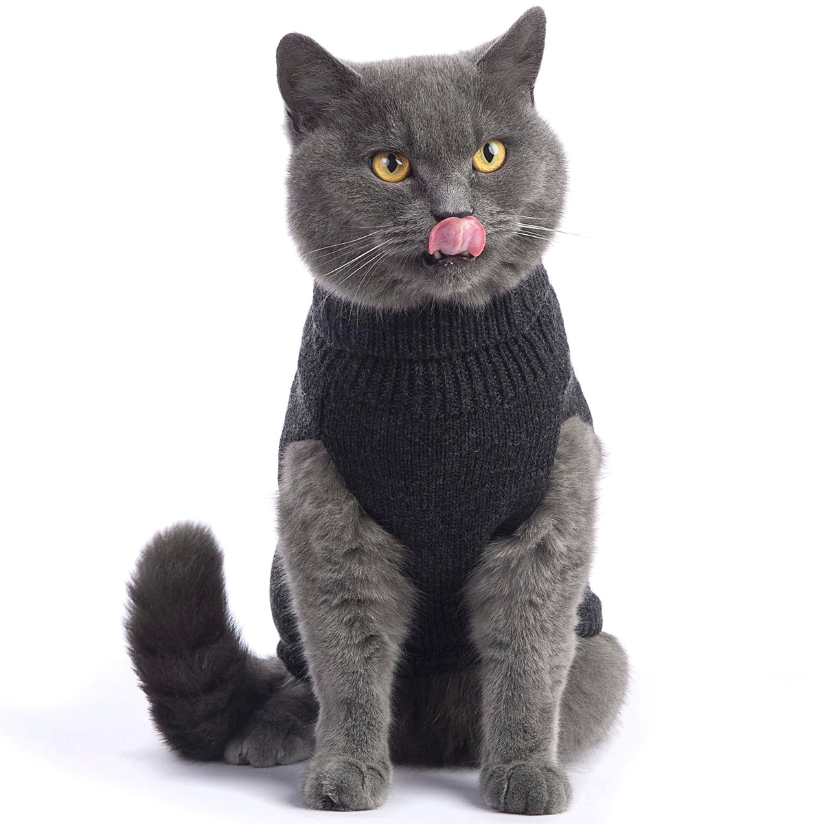 Cat Sweater Stretchy (Dark Gray / Large)