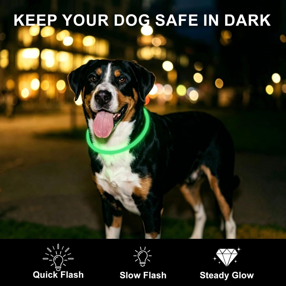 2 Pack LED Dog Collar (Green&Blue)