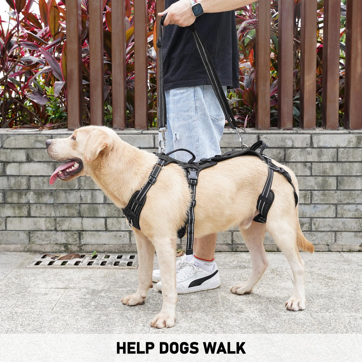 Mobility Dog Lift Harness (Black / L)