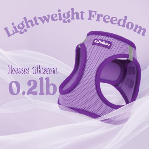 Dog Harness Small Sized and Leash Set (Light Purple & Purple / XXS (Chest: 12.4"-14.2"))