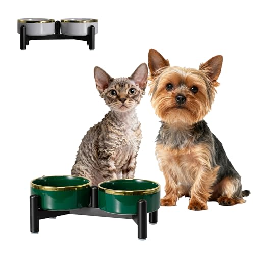 Ceramic Elevated Dog Bowl Set (dark green / 1.6 Cups)