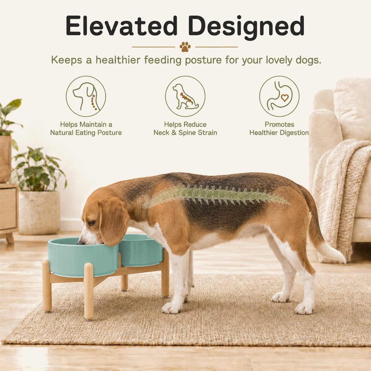 Ceramic Dog Bowls Elevated (Light Green)